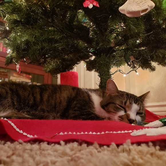 Meet Your Posher, Allie and Diane!! - Picture 5 of 8